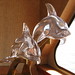 Crystal Dolphin Photo 10