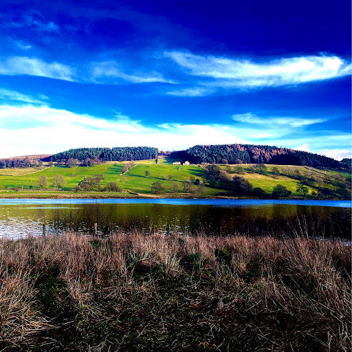 Steven Chappell Photo 37
