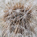 Michael Puff Photo 11