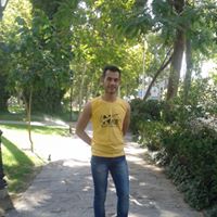 Mehdi Tanha Photo 3