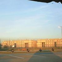 James Allred Photo 32