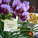 Fred Fuchs Photo 9