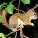 Dawn Skelton Photo 5