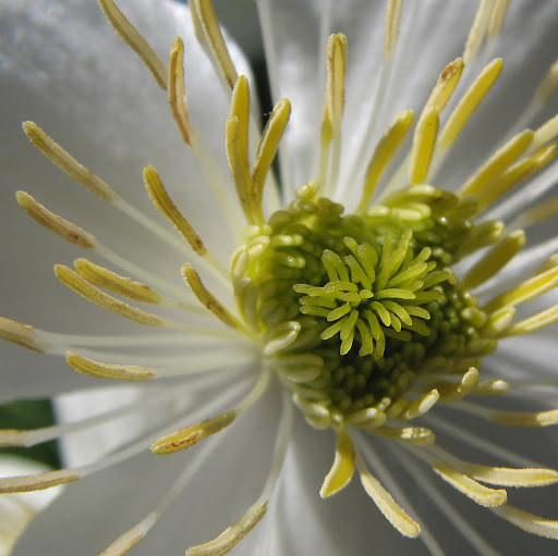 Donna Watson Photo 23