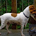 Jack Stover Photo 7