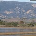 Bill Devereux Photo 6