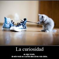 Genaro Paredes Photo 12