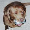 John Cain Photo 16