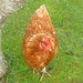 Sally Shaver Photo 9