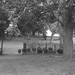 John Mcintire Photo 11