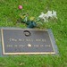 Dennis Hicks Photo 3