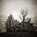 Matthew Heald Photo 7