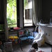 Andrea Boileau Photo 4