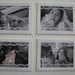 Maria Covarrubias Photo 13