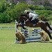 Ellen Gill Photo 9