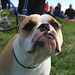 Bill Rugg Photo 7