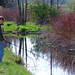 Kathleen Conn Photo 8