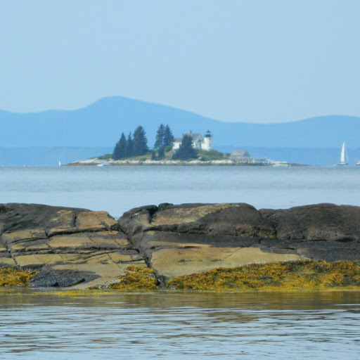 Jack Littlefield Photo 12