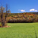 John Kinder Photo 16
