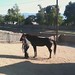 Robyn Tucker Photo 5