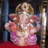 Rohini Ramachandran Photo 3
