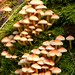 Mark Feucht Photo 6