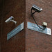 Frederick Bloom Photo 8