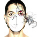 Sean Bird Photo 6