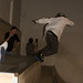 Anne Hoi Photo 3