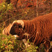 Robert Ebright Photo 12