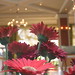 Daisy Vega Photo 12
