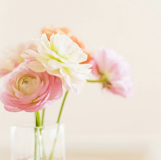 Geetha Naidu Photo 18