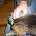 Lynn Lacey Photo 5