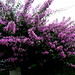 Magali Andrade Photo 3