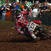 Billy Bull Photo 2