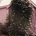 Mary Welty Photo 8