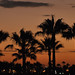 Marwan Al Photo 7