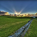 Michael Savage Photo 10