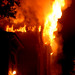 Tom Green Photo 14