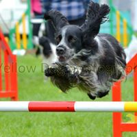 Julie Caughey Photo 6