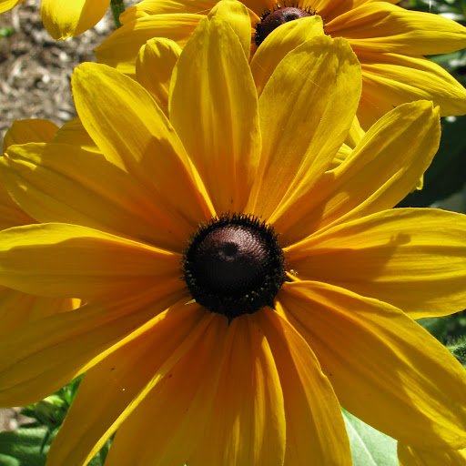 Christine Oakes Photo 24