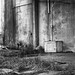 Mark Conley Photo 6