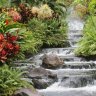 Emily S Photo 34