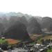 Lin Zhou Photo 6