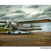 Jonathan Ly Photo 15