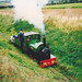 Jane Wells Photo 5