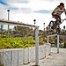 Hoang Tran Photo 12