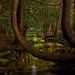 Gary Trout Photo 6