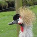 Martin Gray Photo 15