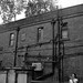 Susan Street Photo 9